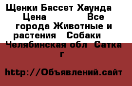 Щенки Бассет Хаунда  › Цена ­ 25 000 - Все города Животные и растения » Собаки   . Челябинская обл.,Сатка г.